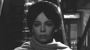The L-Shaped Room: Douglas Slocombe