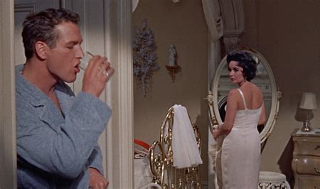 Cat on a Hot Tin Roof: Queer Cinema