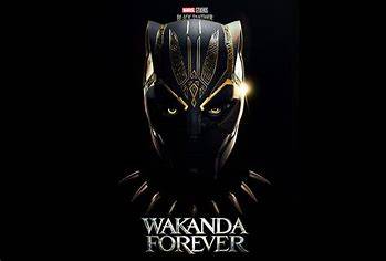 Black Panther Wakanda