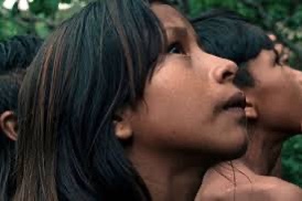 The Buriti Flower